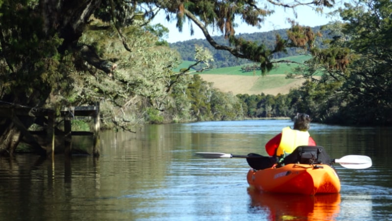 Discover a little slice of untouched paradise as you kayak down the hidden waterways of Papatowai...